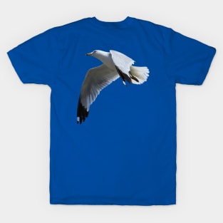 Ring-Billed Gull in Flight T-Shirt